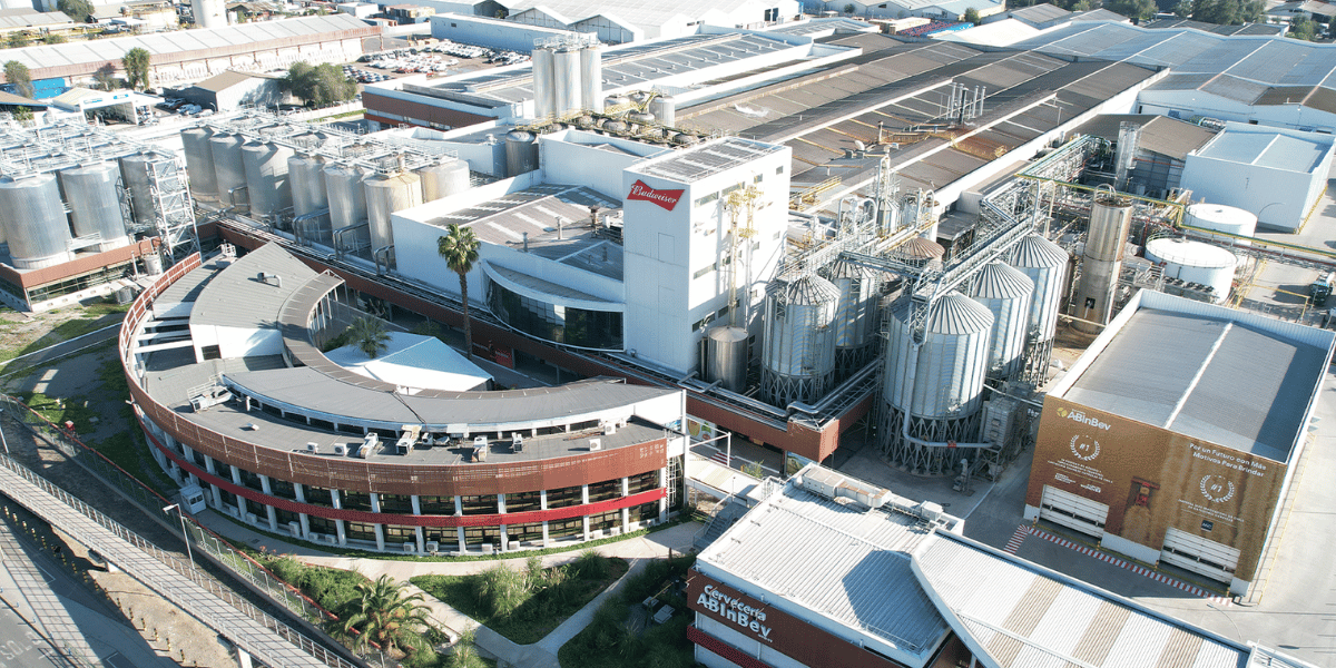 AB InBev